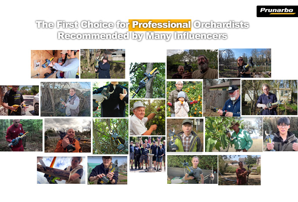 Turn Your Influence Into Income with Prunarbo