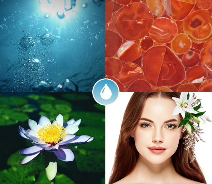 Ayurvedic Water Element