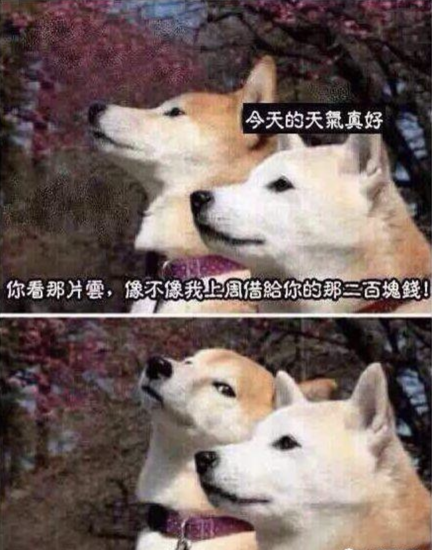 Cocod'or 白麝香聖誕花香薰 200毫升