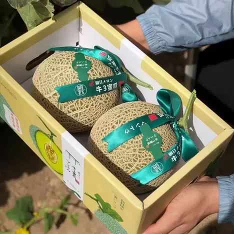 普通话商品