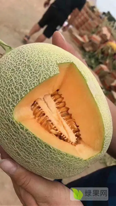 普通商品1