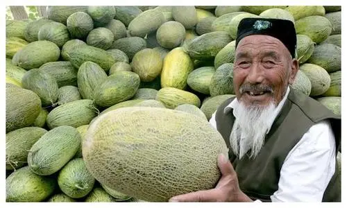无需运输商品