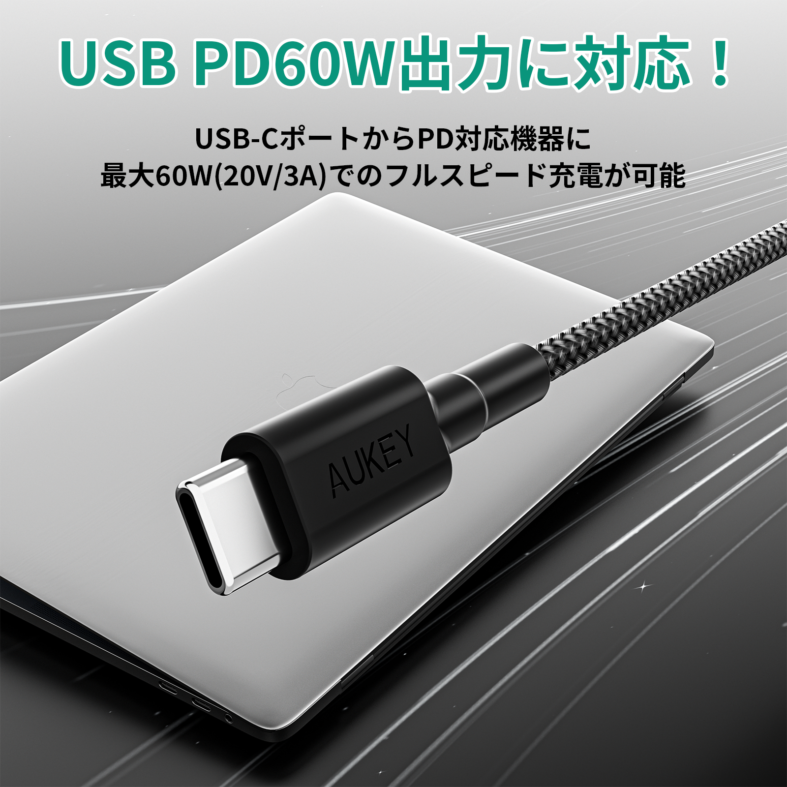 USB-C to Cケーブル CB-CC15