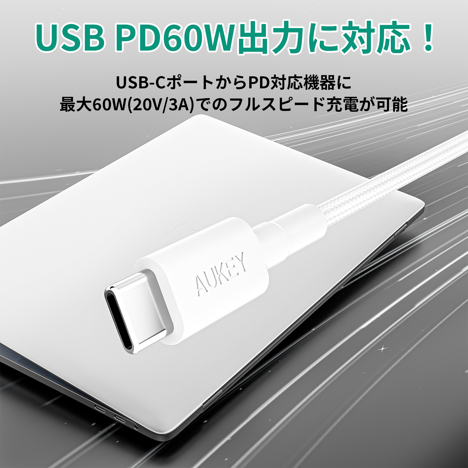 USB-C to Cケーブル CB-CC15