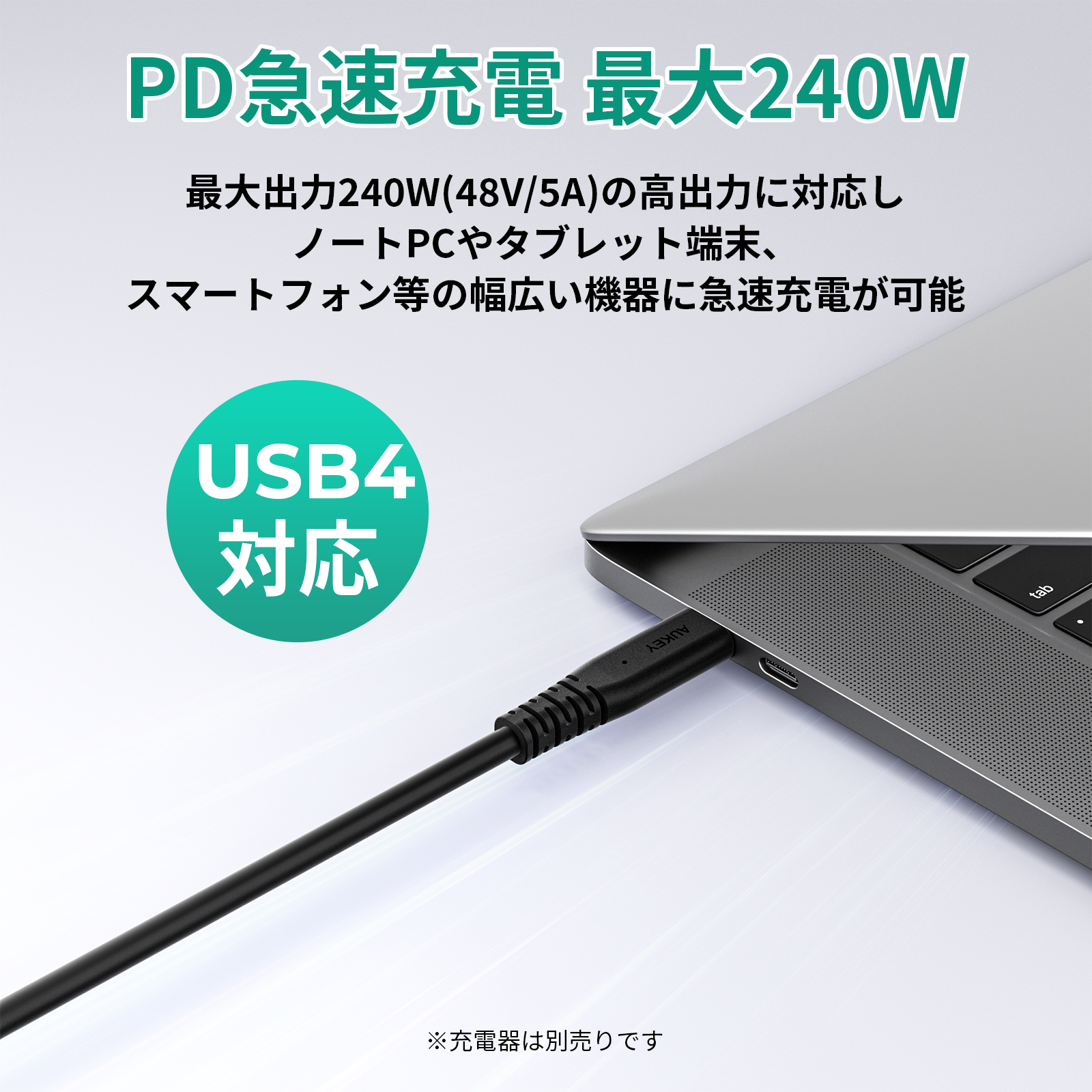 USB-C TO Cケーブル CB-CD24