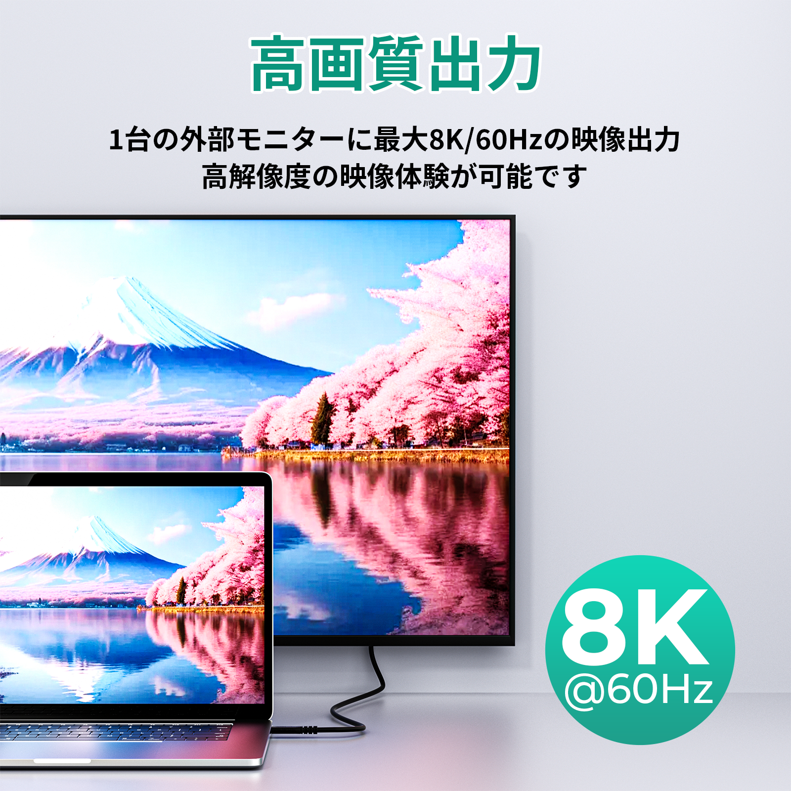 USB-C TO Cケーブル CB-CD24