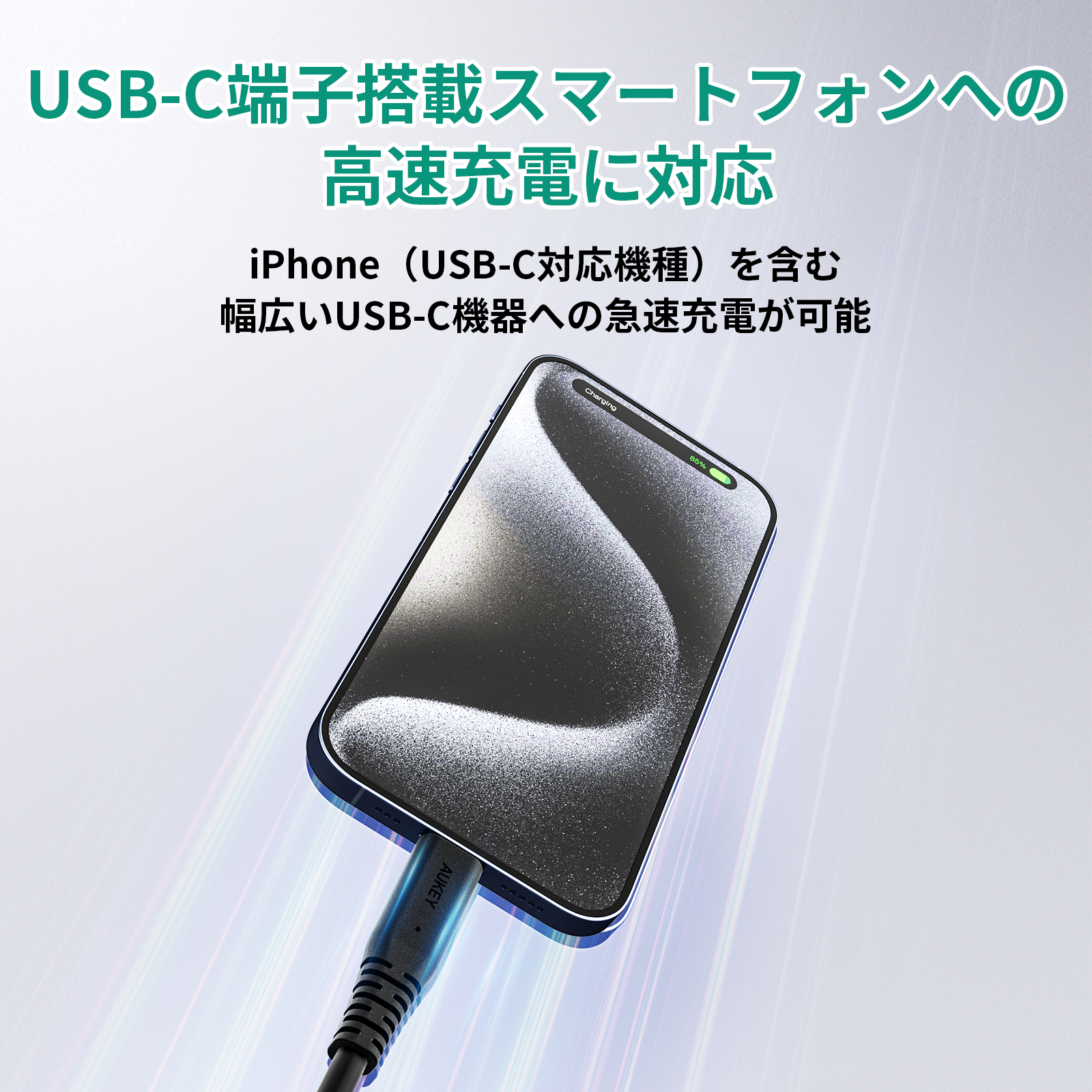 USB-C TO Cケーブル CB-CD24