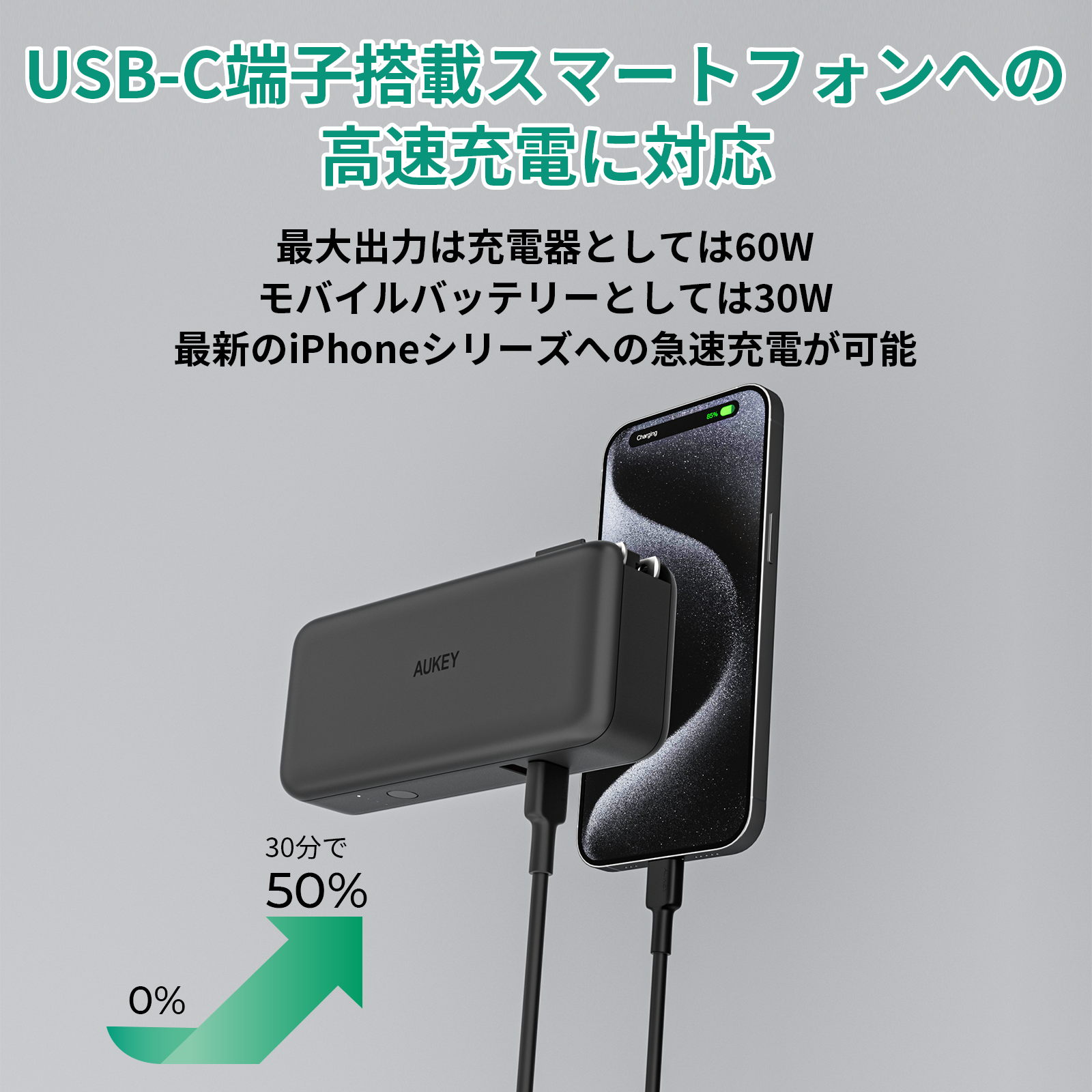 モバイルバッテリーとAC充電器の一体型 PA-PD30