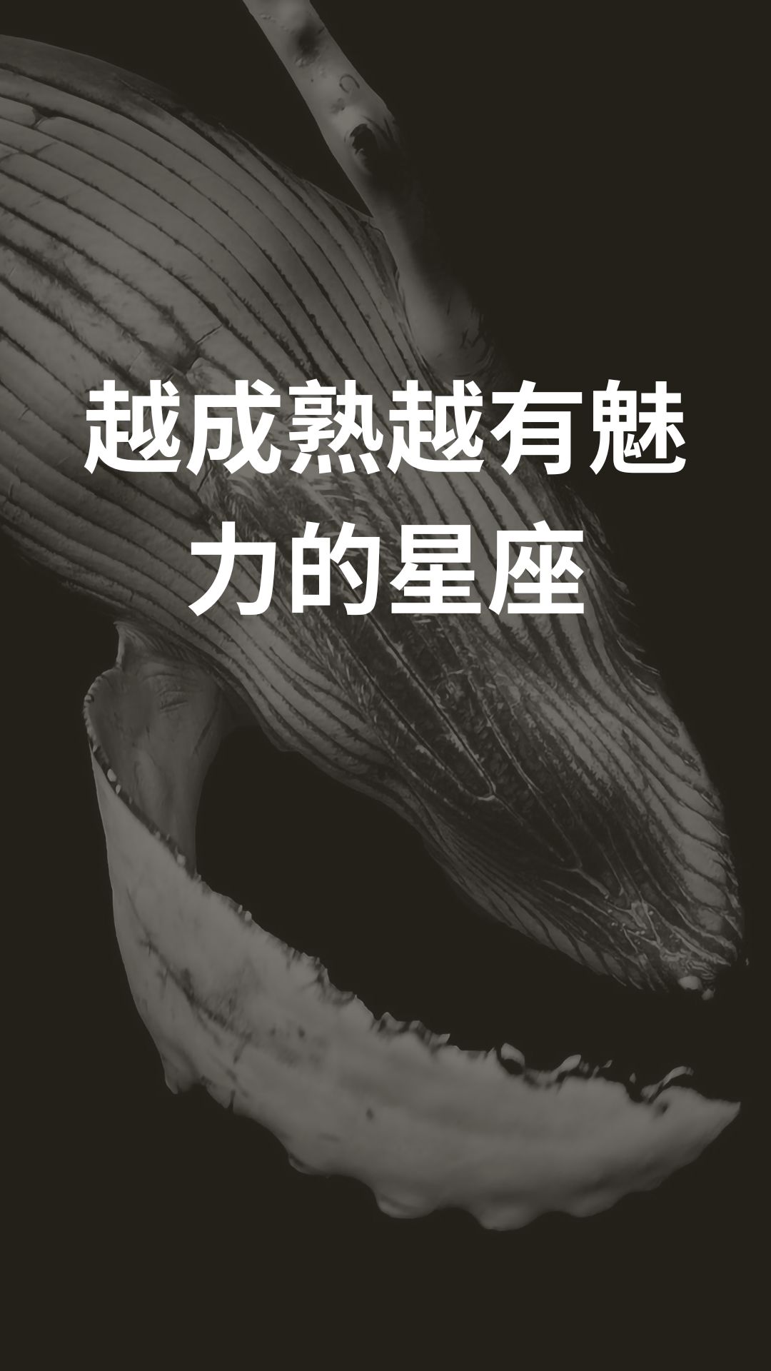 越成熟越有魅力的星座