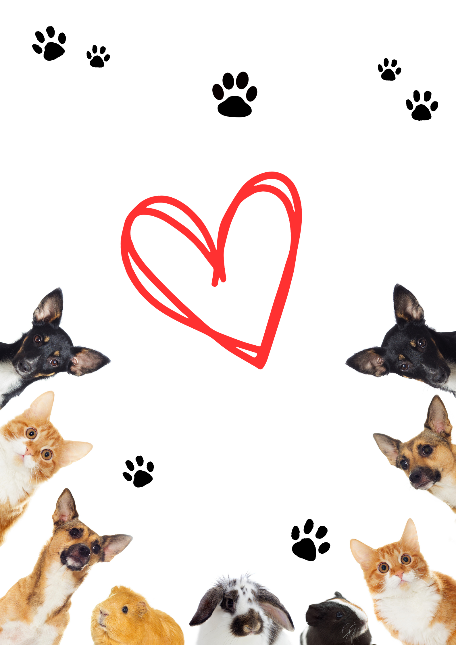 什麽是魔法儀式?
