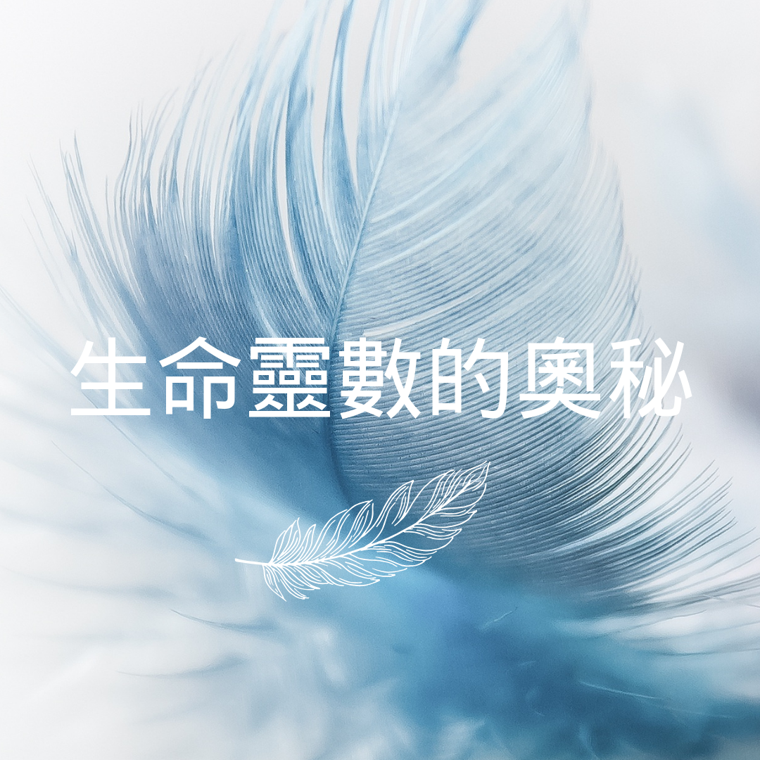 揭秘生命靈數的奧秘