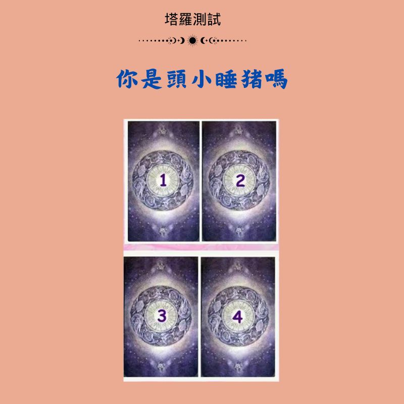 你是頭小睡猪嗎