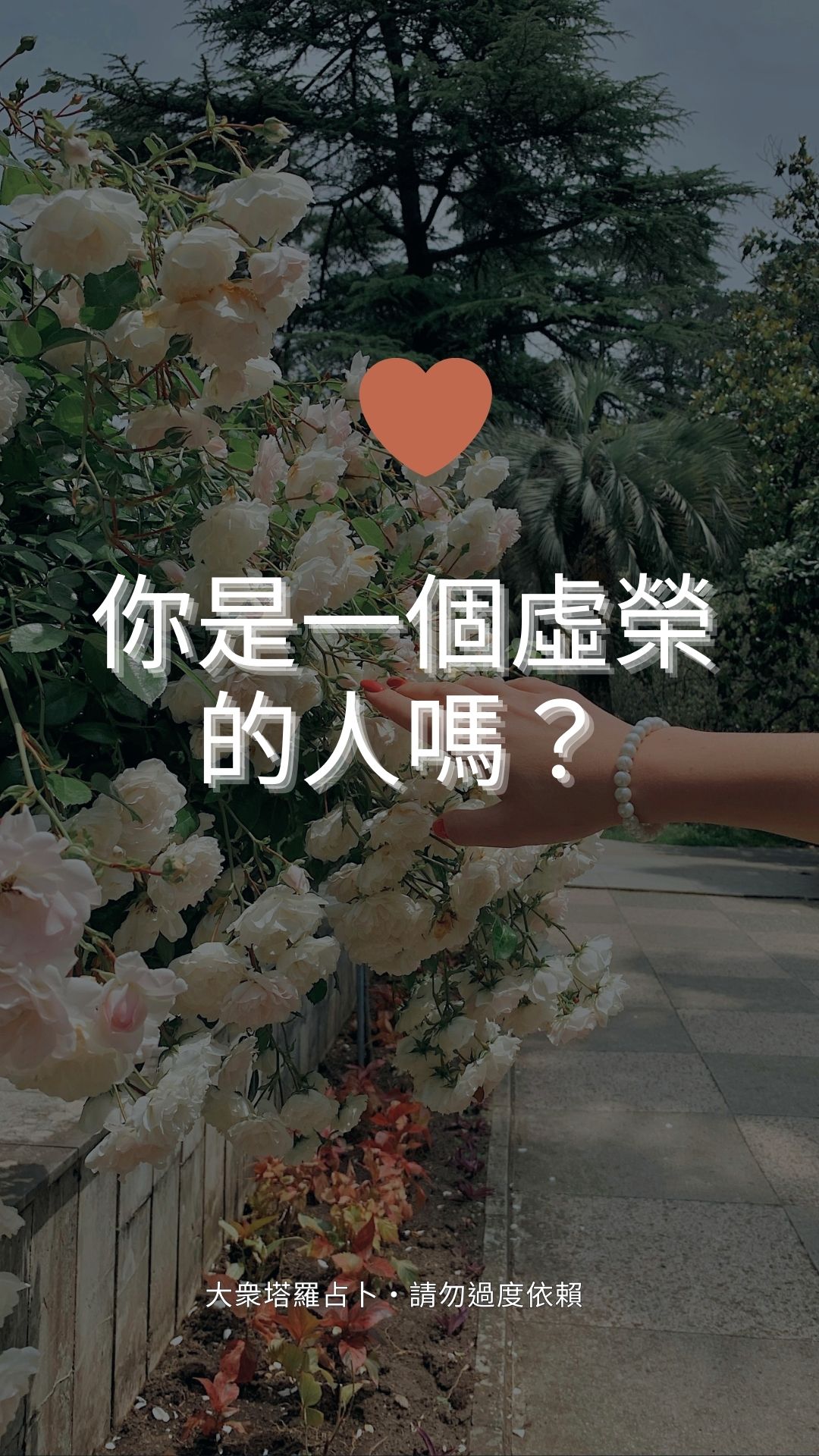 你是一個虛榮的人嗎？