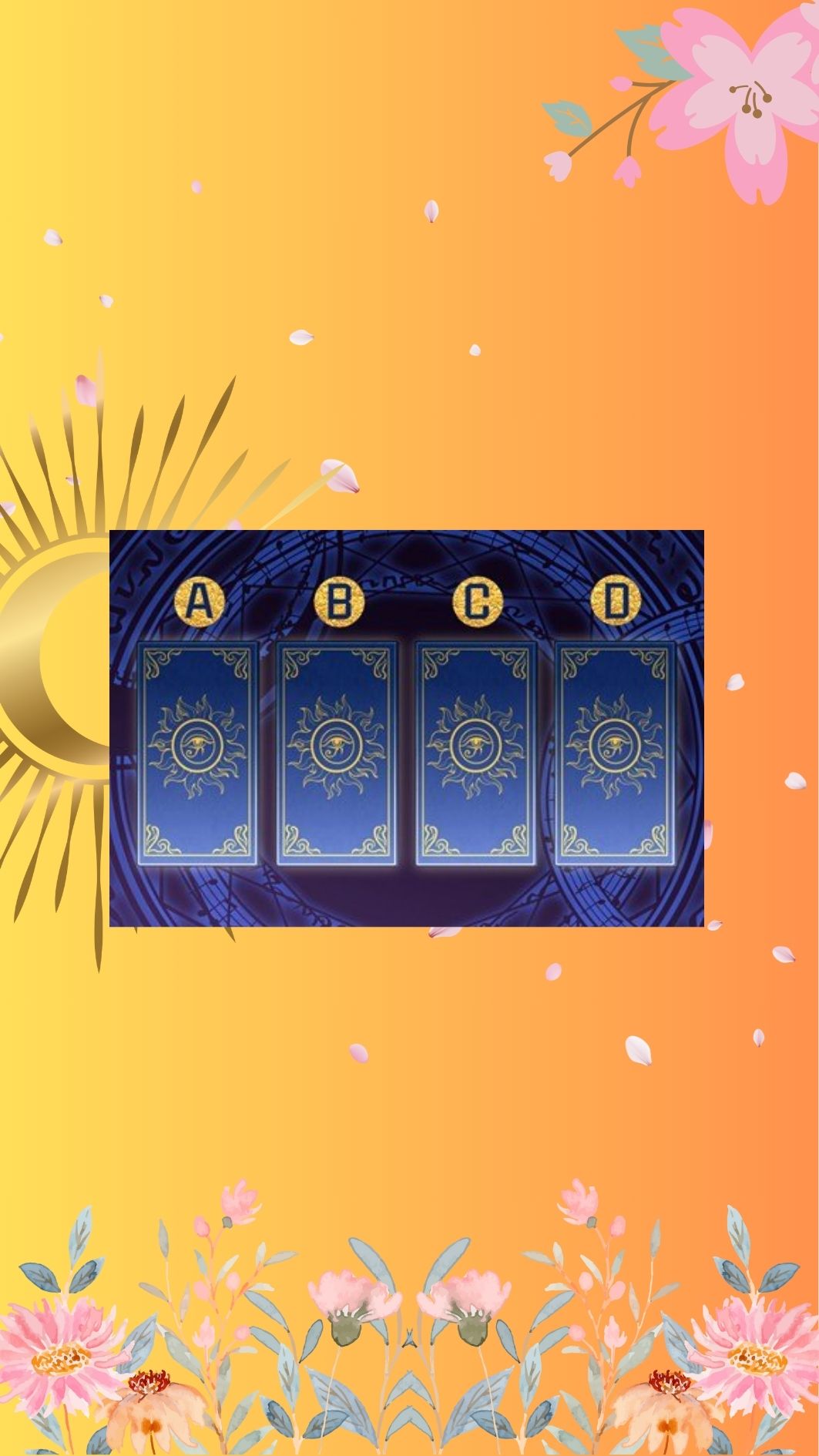 他对你的未来有什么打算?