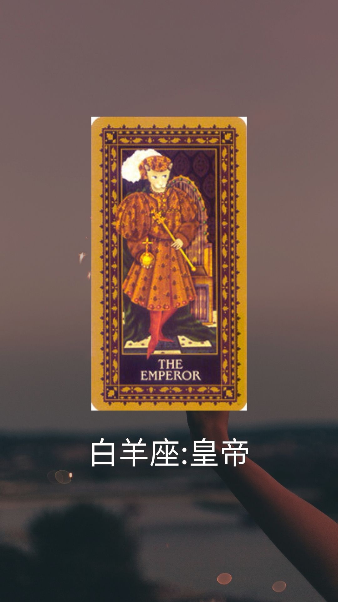 最有異性緣的三個星座