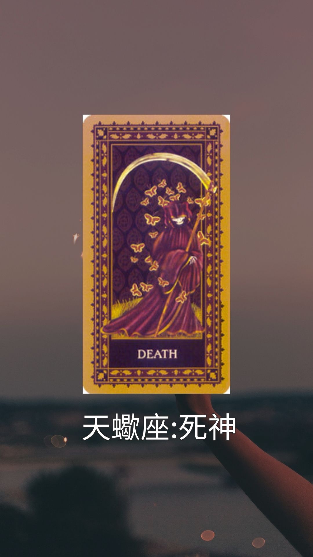 最有異性緣的三個星座