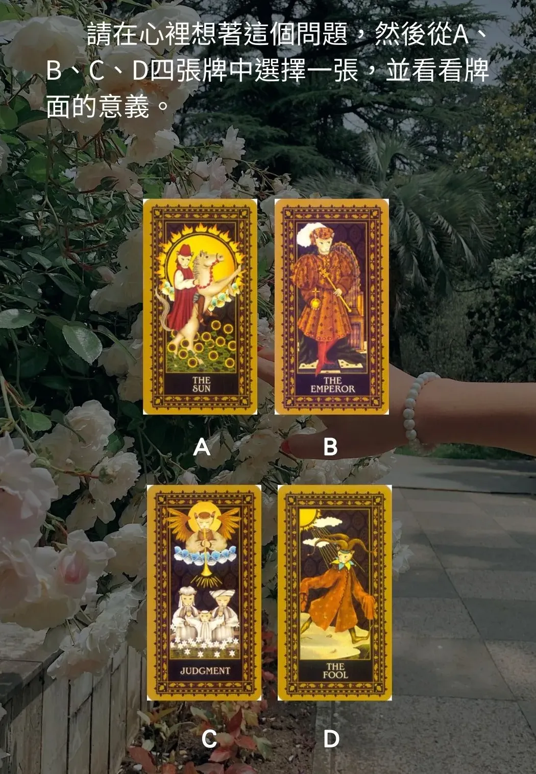 你是一個虛榮的人嗎?