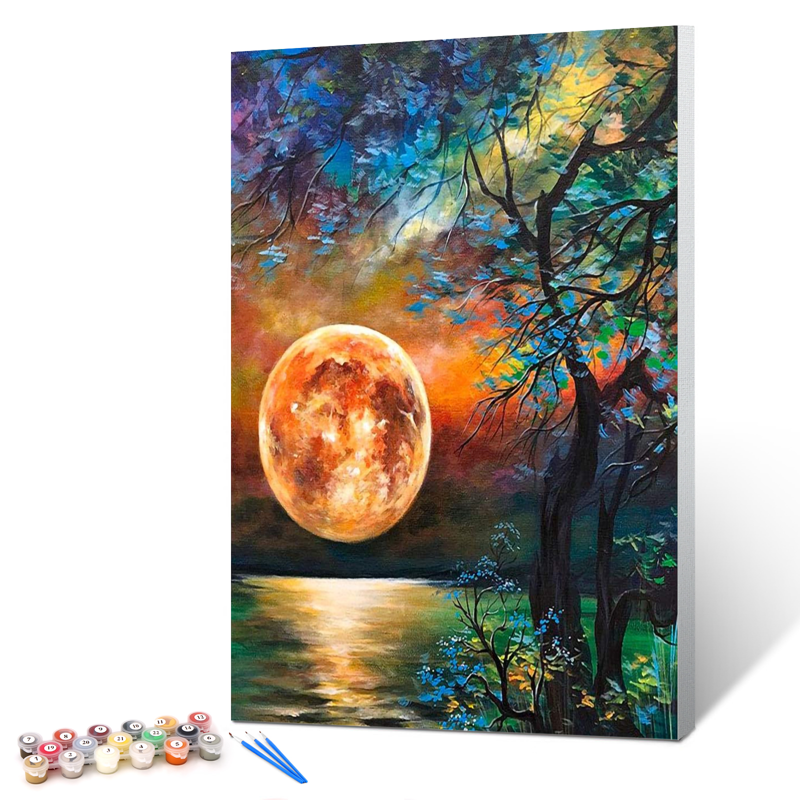 Ginkko Paint by Numbers for Adults Beginner & Kids Ages 8-12 with Wooden Frame Easy Acrylic on Canvas 9x12 inch with Paints and Brushes, Moon(Include Framed)