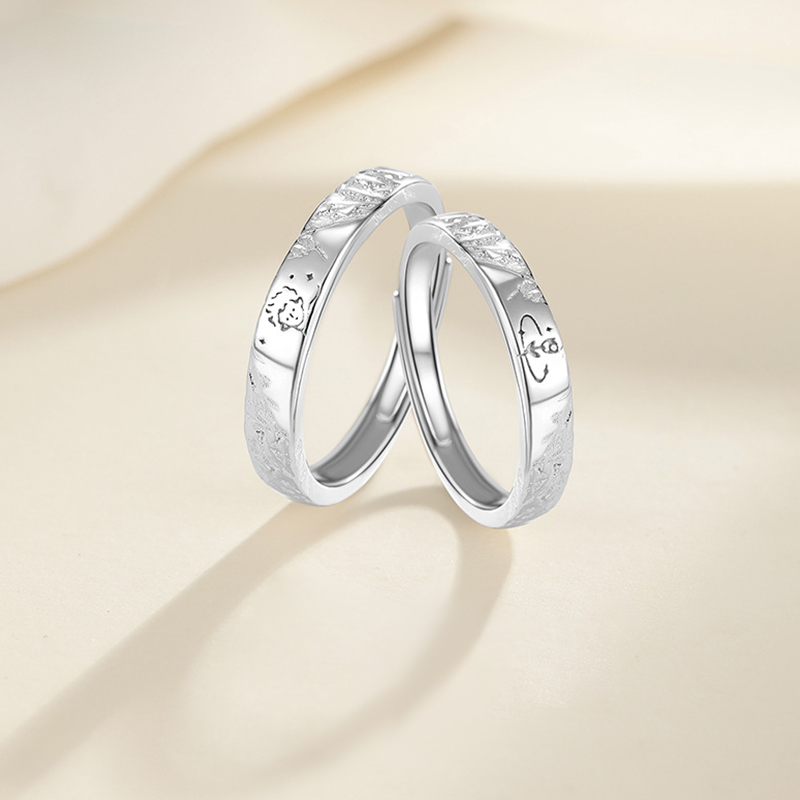 小王子与玫瑰 · 情侶純銀對戒丨情侶紀念禮物