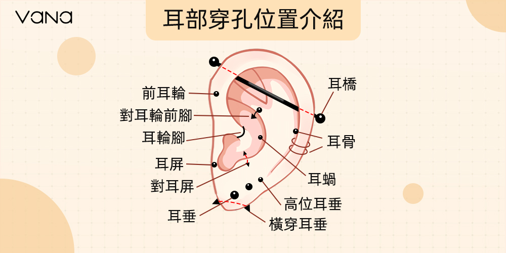 耳洞位置介紹