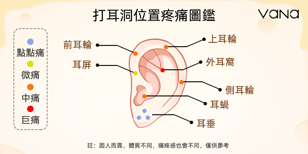 打耳洞位置疼痛圖鑑