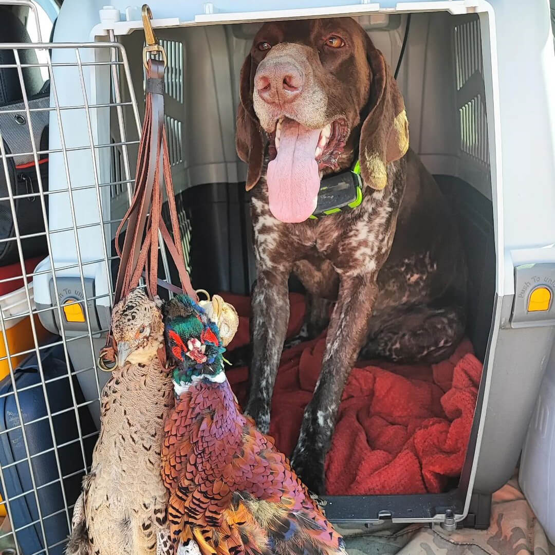 TOURBON Hunting Leather Bird Duck Strap Carrier 12 Loops