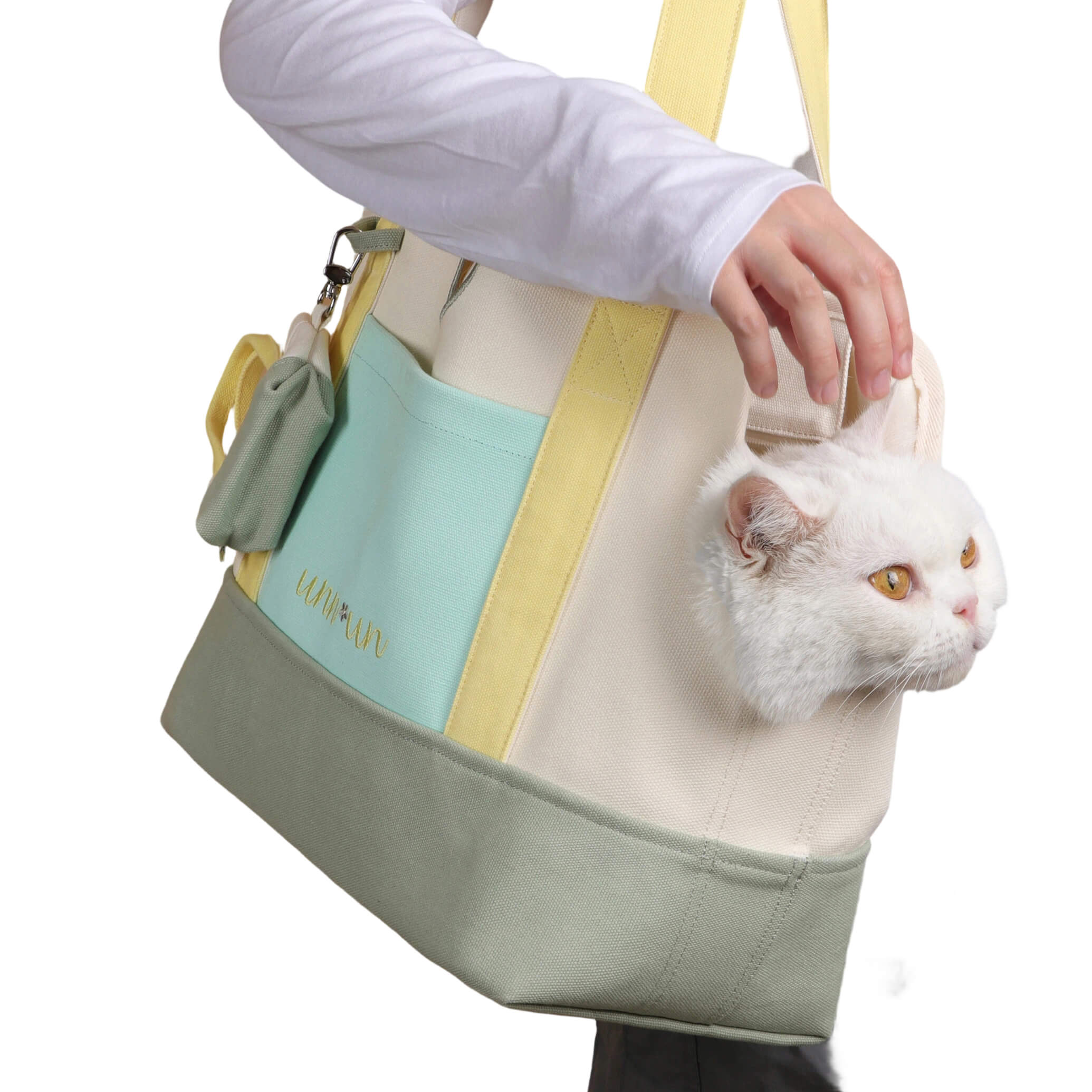 Canvas Pet Carrier Tote Bag for Small Dogs & Cats