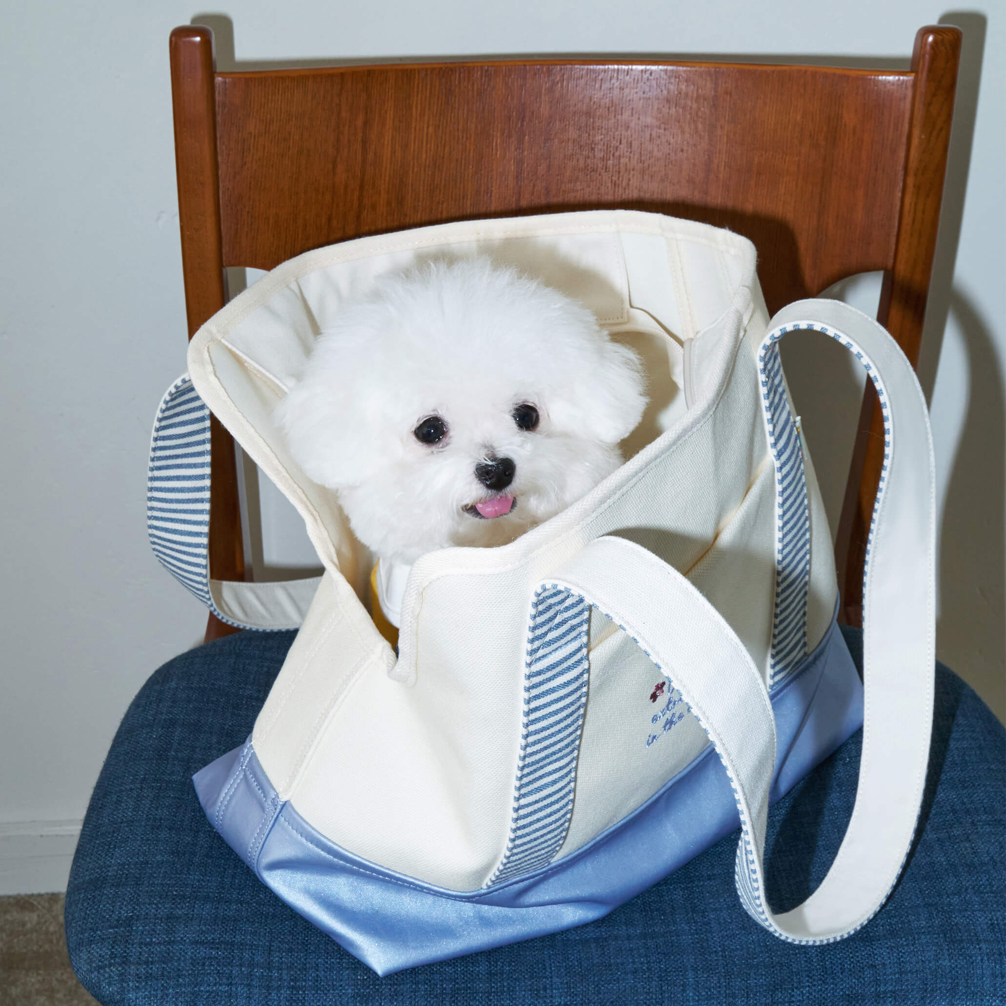 Canvas Pet Carrier Tote Bag for Small Dogs & Cats