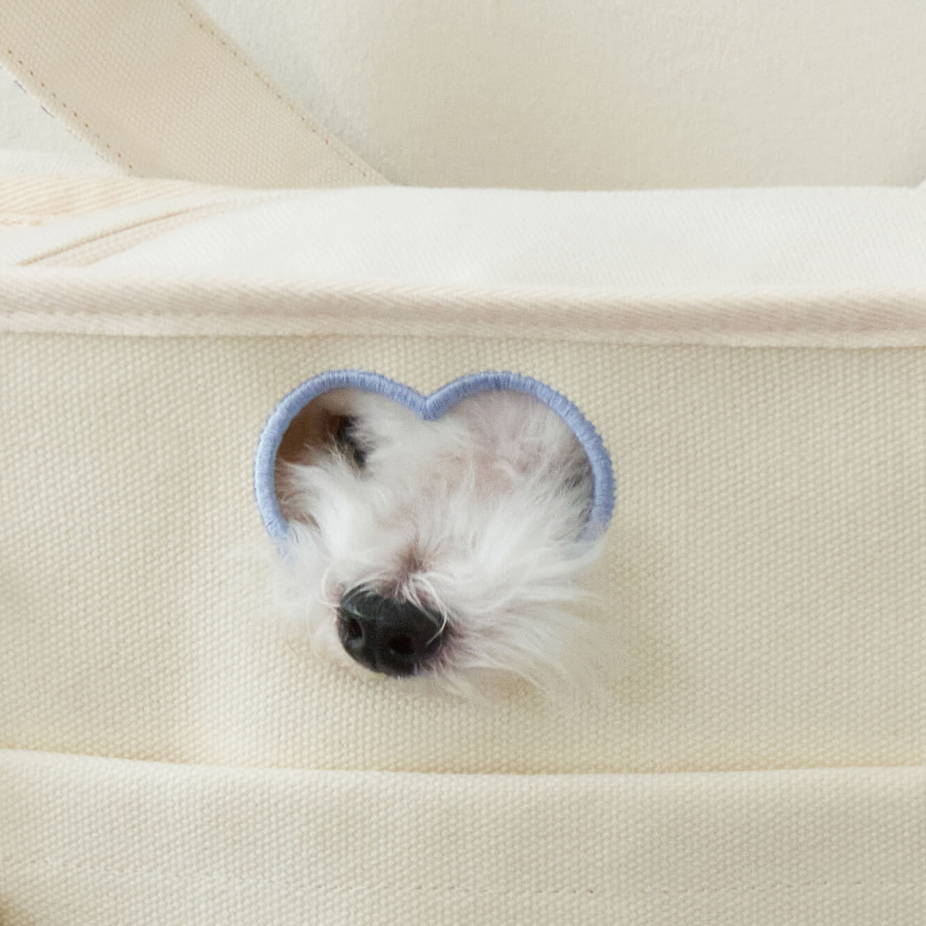 Canvas Pet Carrier Tote Bag for Small Dogs & Cats