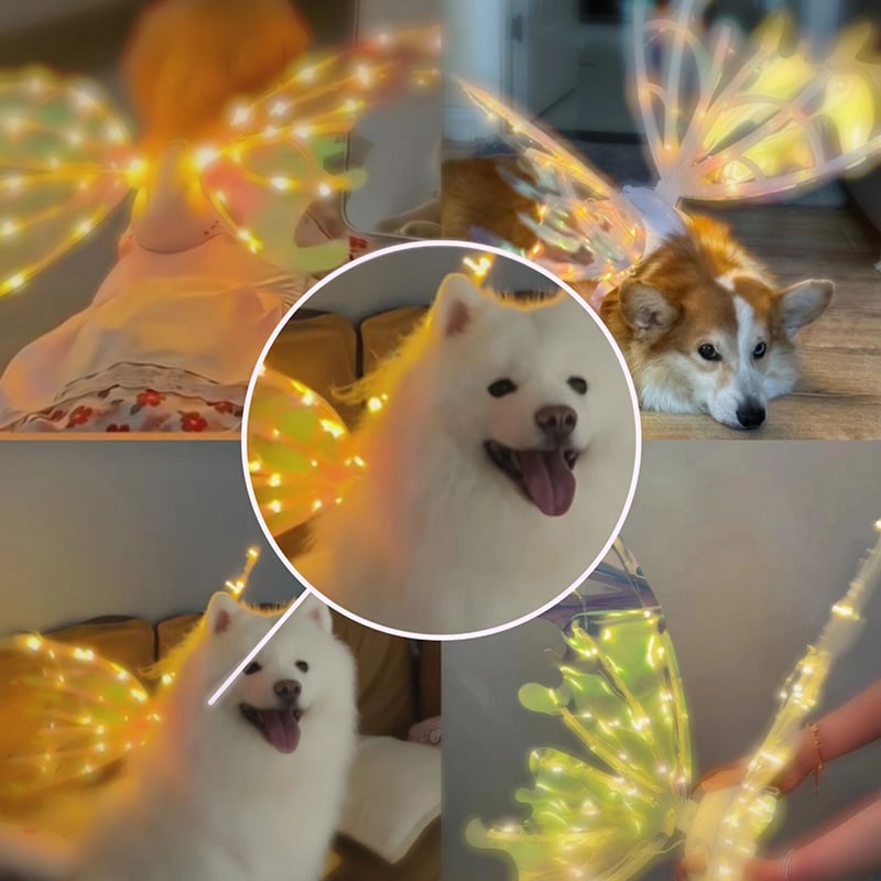 (🎁2023-Christmas Hot Sale🎁)Electric Butterfly Wings With Music Lights