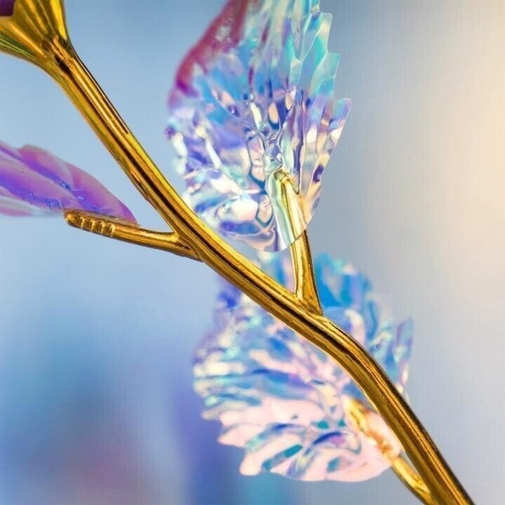 ❤️2024 Valentine's Day Hot Sale 🌹Limited Edition Rose