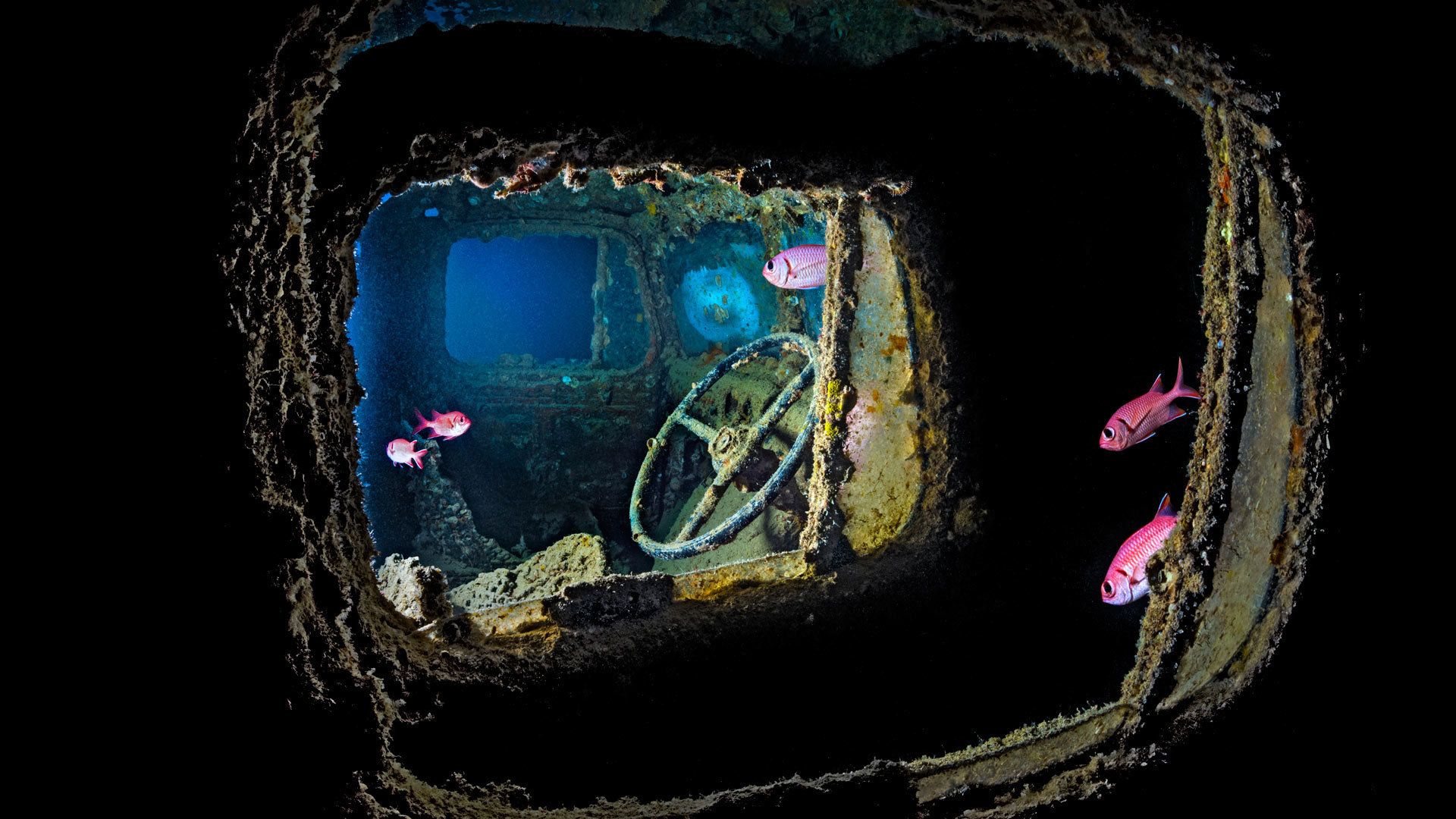 多款式（sku无图）-88900-图片alt01