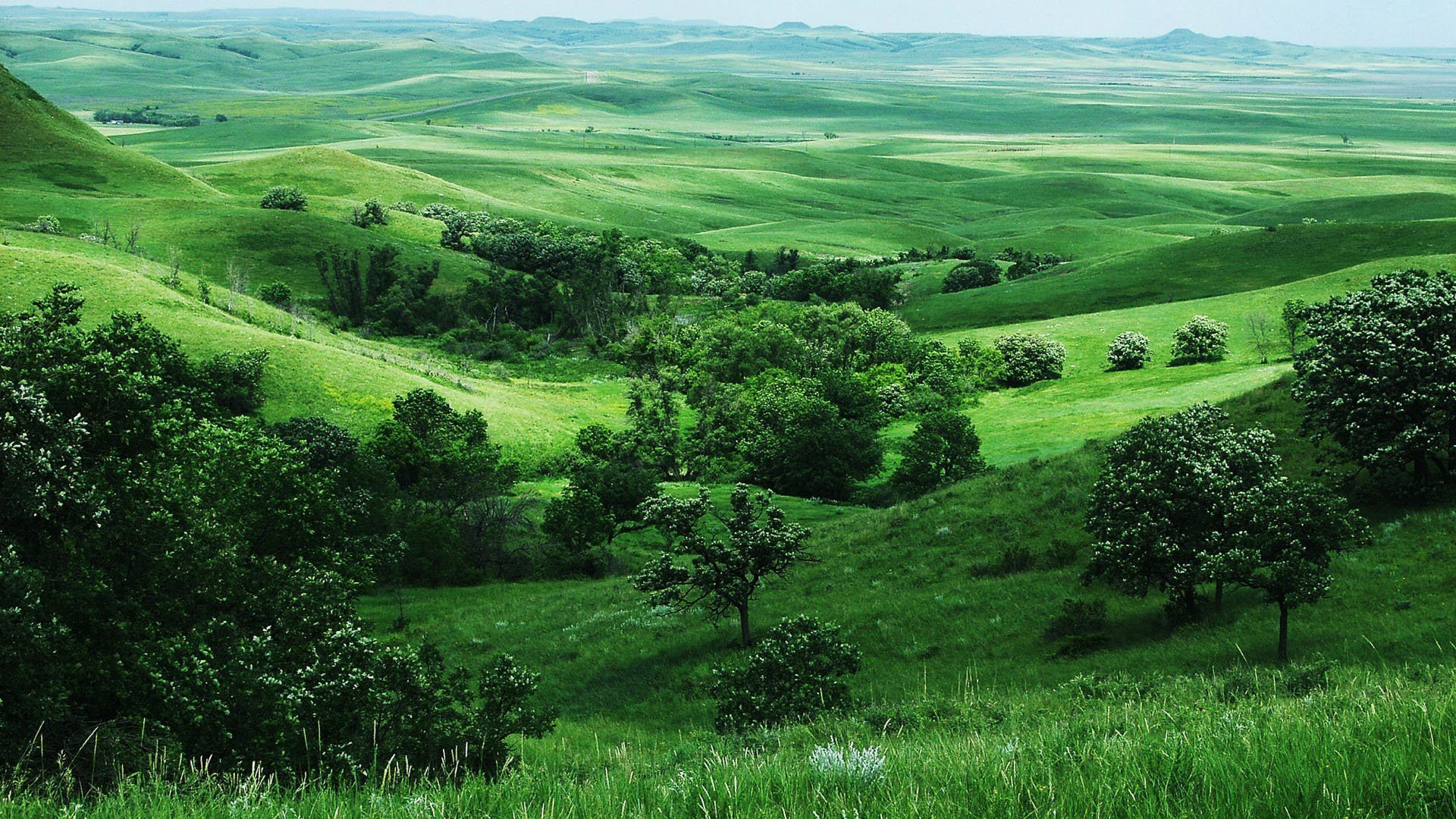 多款式（sku无图）-88900-图片alt01