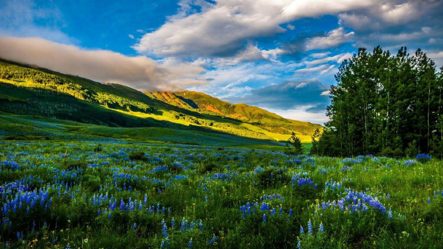 幸福的爱情都是一种模样，而不幸的爱情却各有各的成因，最常见的原因有两个：太早，或者，太迟。——席慕蓉《透明的哀伤》-88900-图片alt01