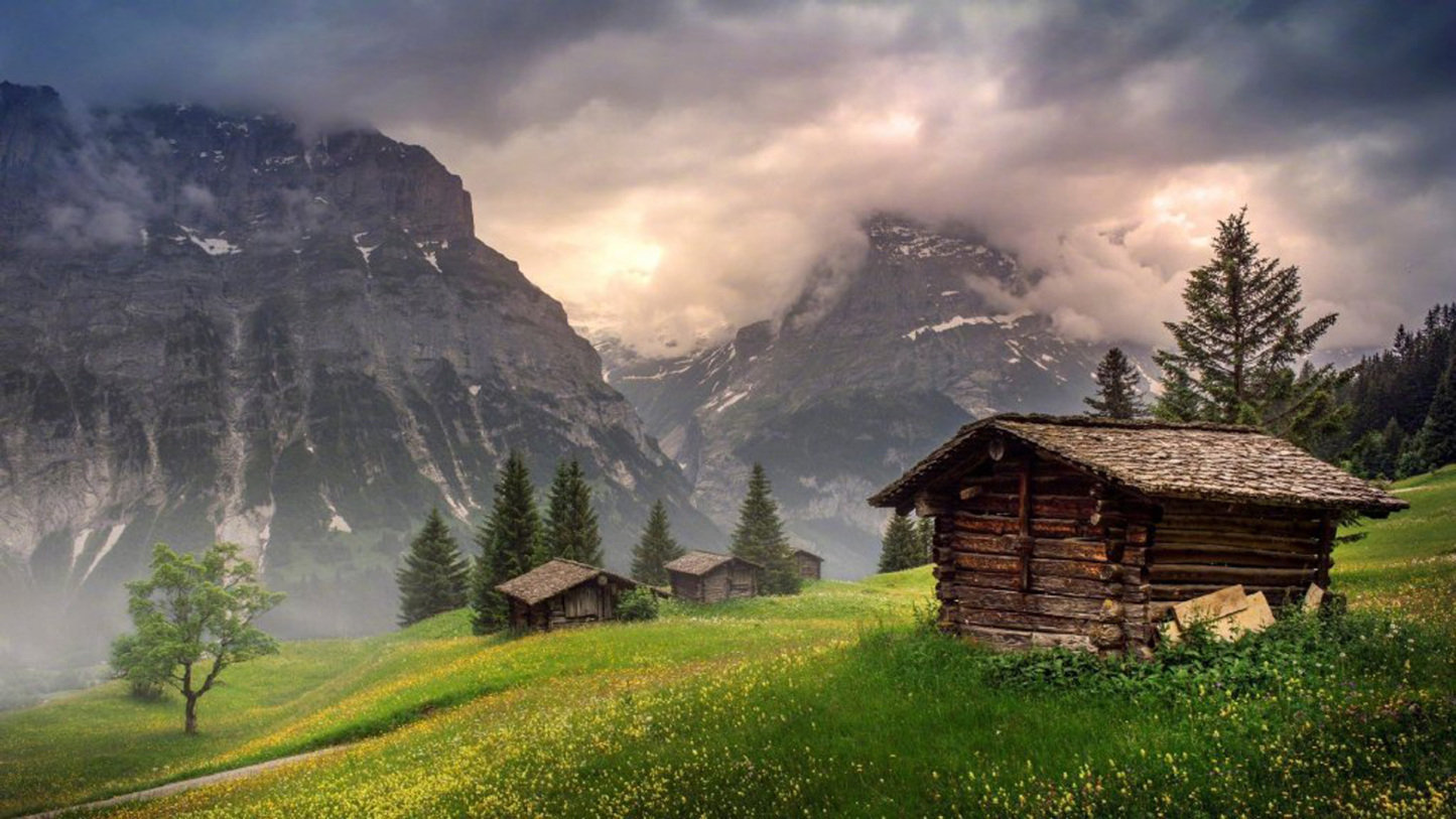 只要有想见的人，就不再是孤身一人了。——《夏目友人帐》-88900-图片alt01