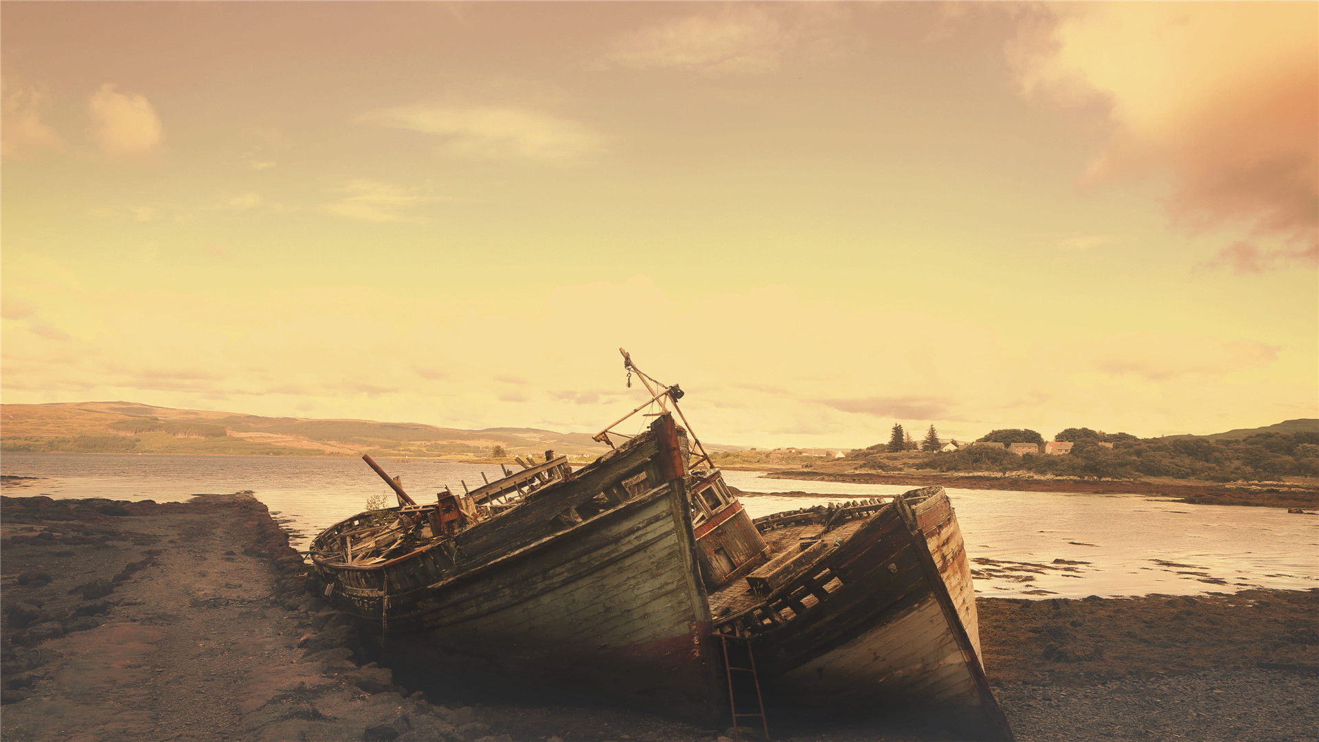 幸福的爱情都是一种模样，而不幸的爱情却各有各的成因，最常见的原因有两个：太早，或者，太迟。——席慕蓉《透明的哀伤》-88900-图片alt01