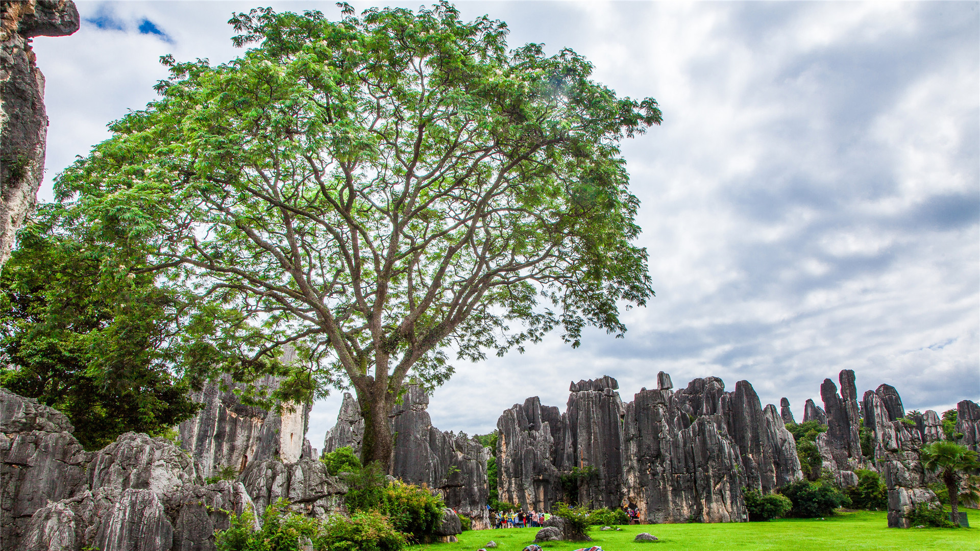 我这辈子最遗憾的事