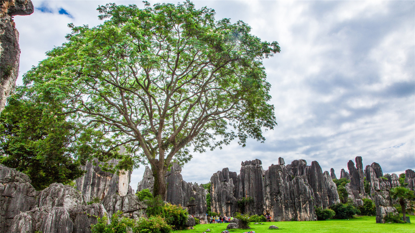我这辈子最遗憾的事