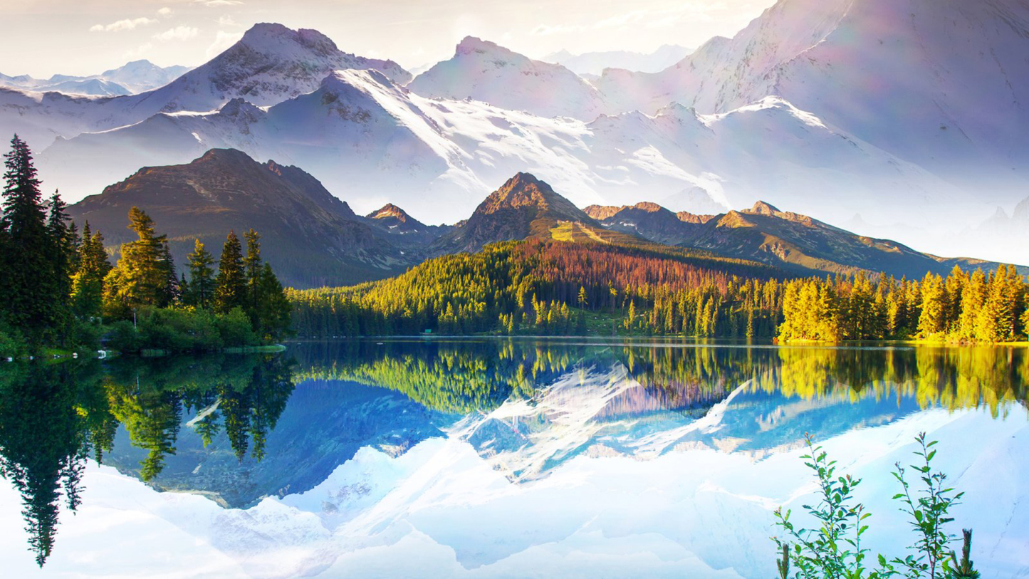 其实，如果你足够强大，敢于挑战一下，你就会发现有些貌似强大的东西其实很脆弱。——孟非-88900-图片alt01