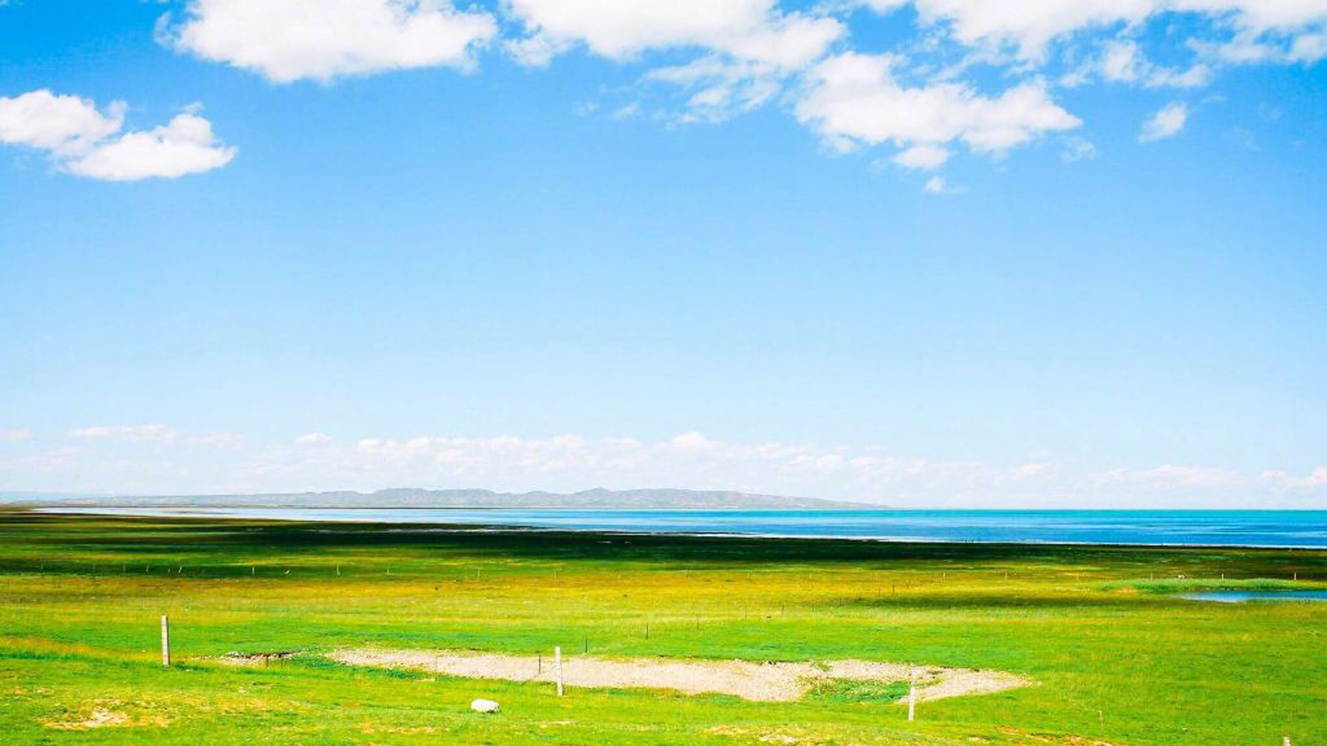 在我贫瘠的土地上，你是最后的玫瑰。——聂鲁达《二十首情诗与绝望的歌》-88900-图片alt01