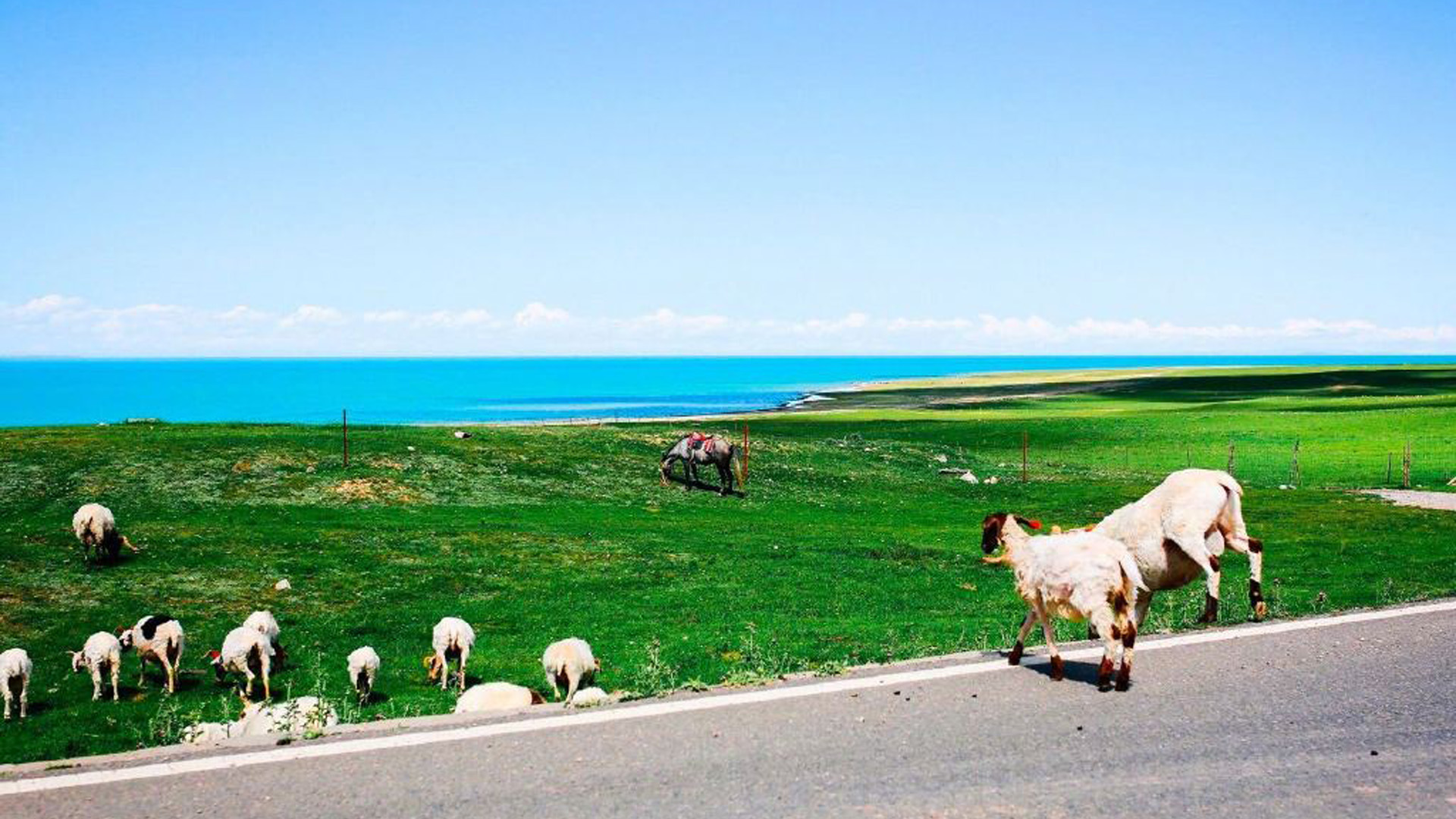 有生之年能遇见你，竟花光我所有运气。——林夕《明年今日》-88900-图片alt01