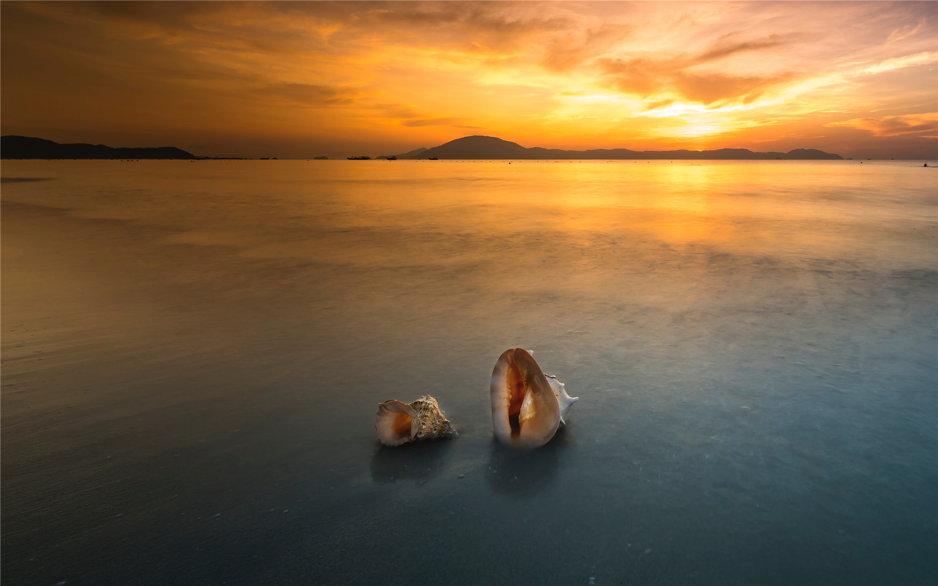 在我贫瘠的土地上，你是最后的玫瑰。——聂鲁达《二十首情诗与绝望的歌》-88900-图片alt01