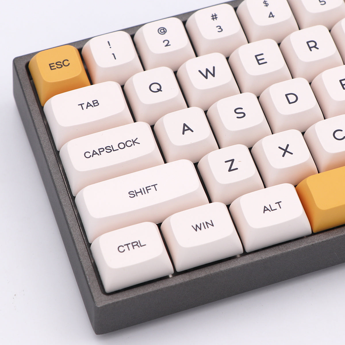 Honey Milk蜂蜜牛奶 CCC-88900-图片alt01