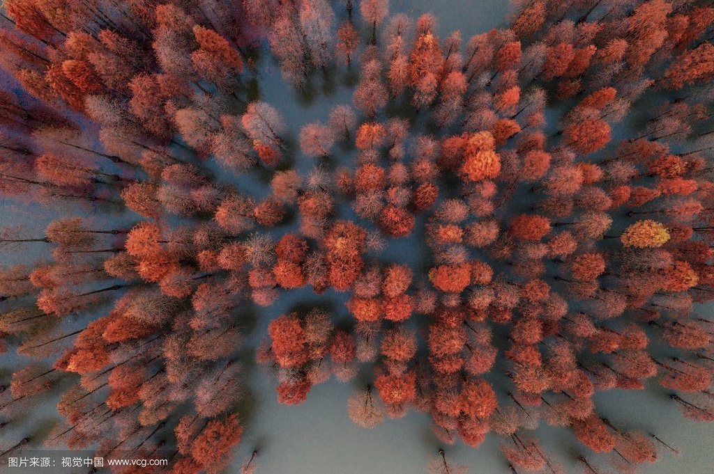 测试测试呀呀呀