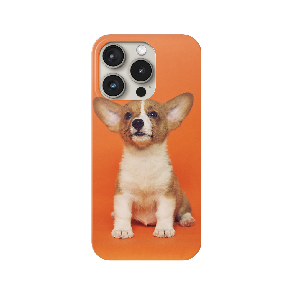 （市场固定价格测试）Custom Phone Case