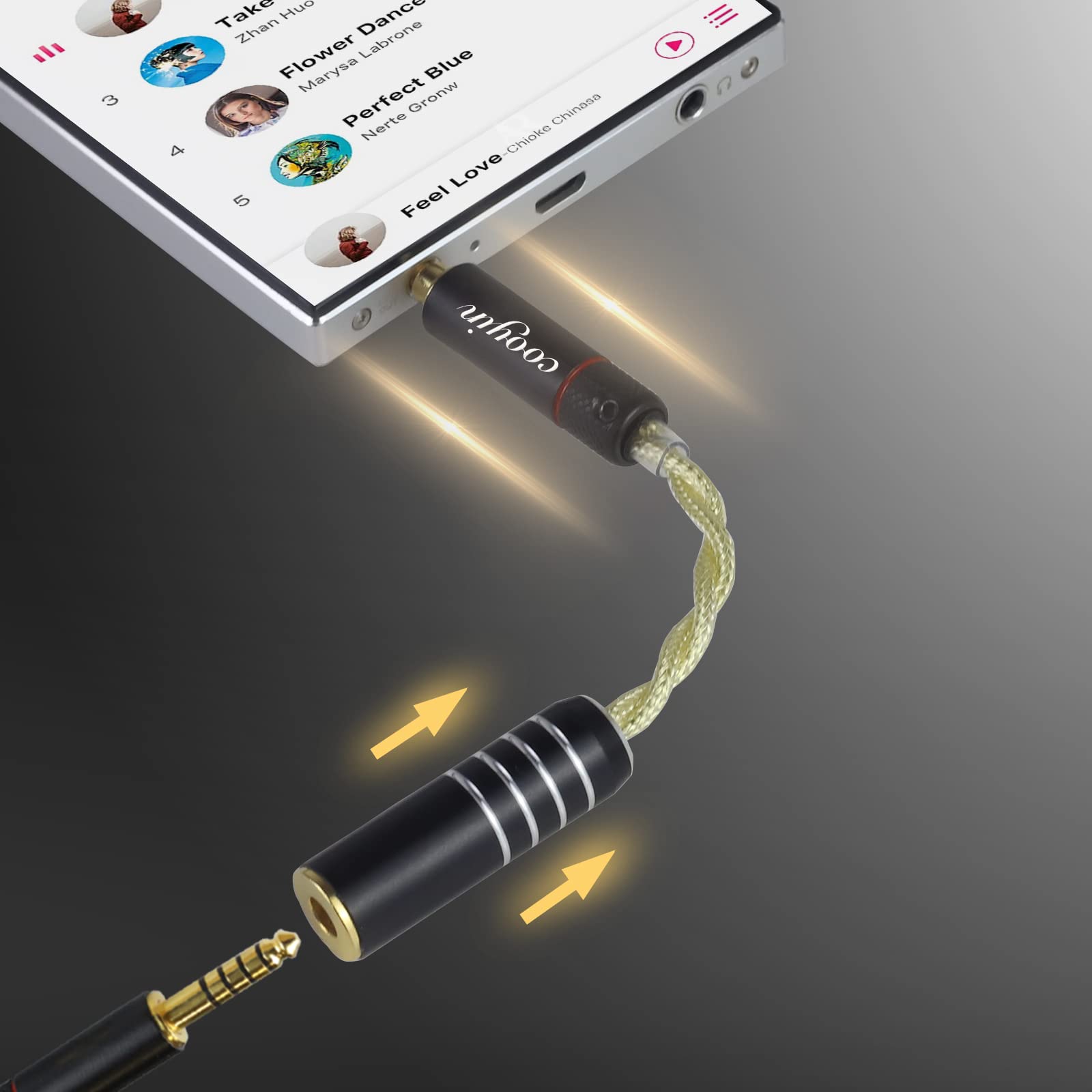 cooyin 変換ケーブル イヤホンジャック 変換 2.5mm/3.5mm/4.4mm  （オス）- 2.5mm/3.5mm/4.4mm（メス） Litz Wire 銀メッキ単結晶銅導体 金メッキ イヤホン・ヘッドホン、アンプ、オーディオプレーヤー等に適用