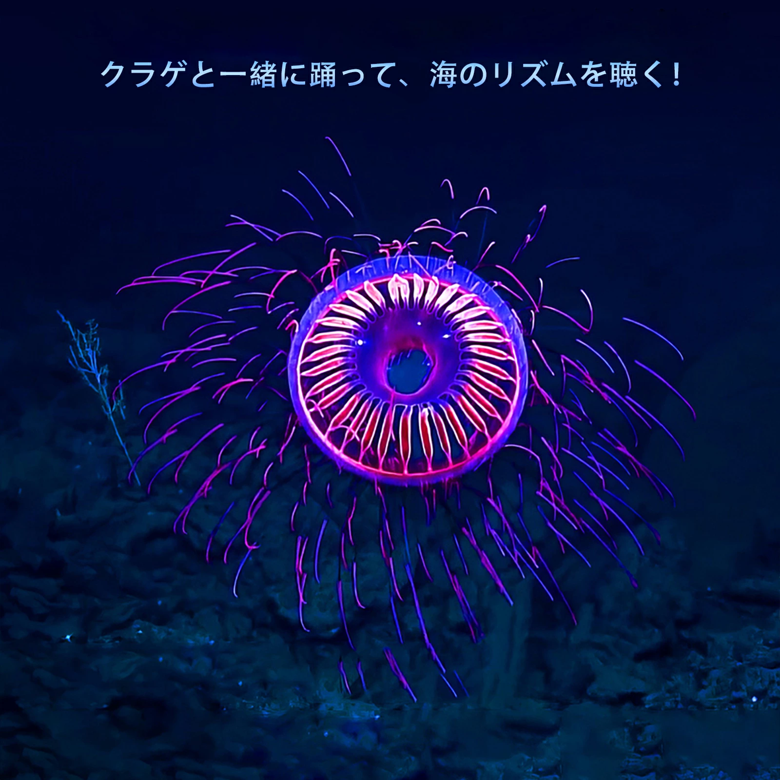 TRN Medusa ハイパフォーマンスHiFiダイナミックイヤホン   高遮音性  炭素振動膜  カナル型  人間工学に基づく設計  マイク付き 第二世代LCPダイナミックドライバ  三室構造デザイン   有線イヤホン 2.5/3.5/4.4mm　交換式プラグ