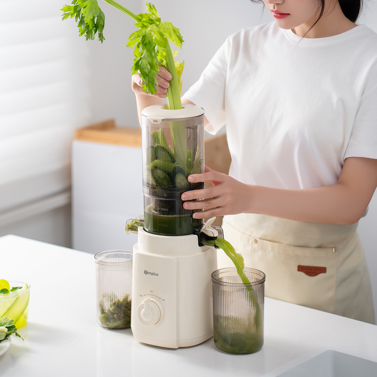 User Manual - Electric Juicer/Slow Juicer ZZJH010