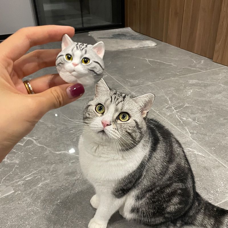 🐈🐕客訂貓咪狗狗石膏頭像—可愛貓咪狗狗擺飾