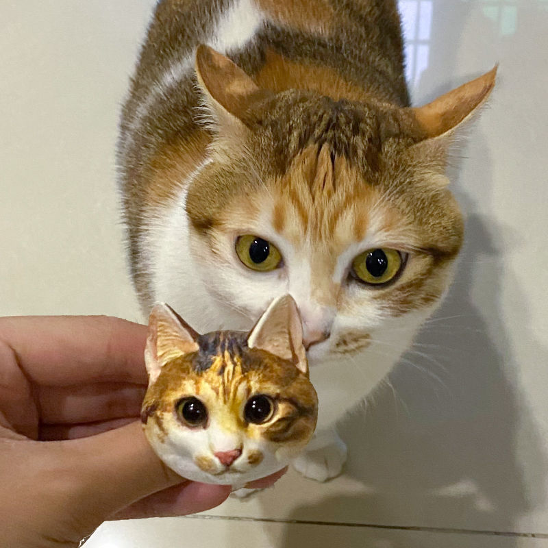 🐈🐕客訂貓咪狗狗石膏頭像—可愛貓咪狗狗擺飾